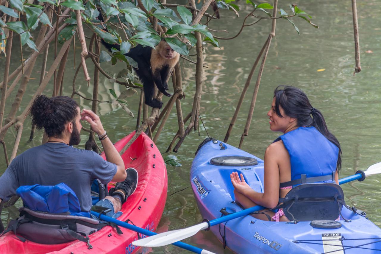 Kayak Lodge Damas Экстерьер фото