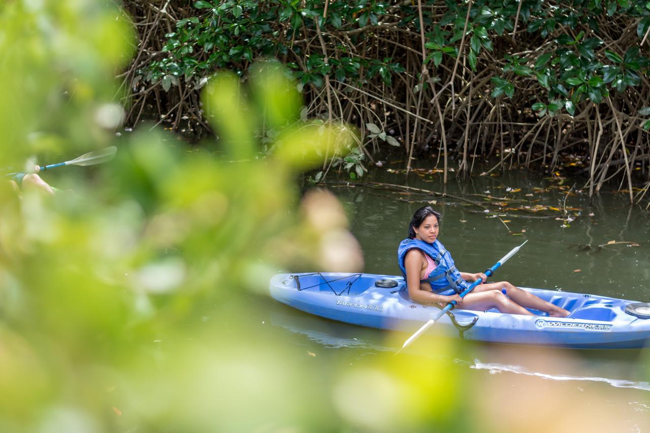 Kayak Lodge Damas Экстерьер фото